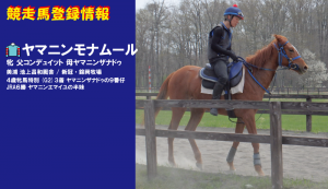 競走馬登録・ヤマニンモナムール
