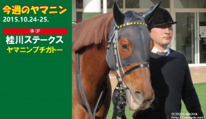 今週のヤマニン・ヤマニンプチガトー