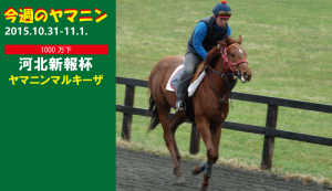 今週のヤマニン･ヤマニンマルキーザ