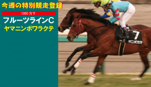 今週の特別競走登録・ヤマニンボワラクテ