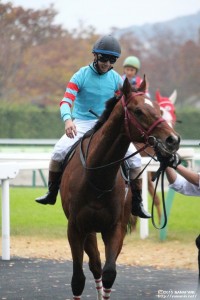 フルーツラインC_凱旋_ヤマニンボワラクテ