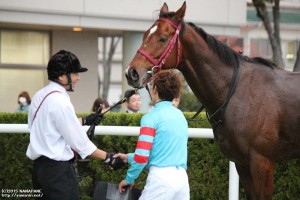 ありがとう・固い絆?