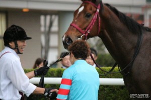 ありがとう・固い絆?