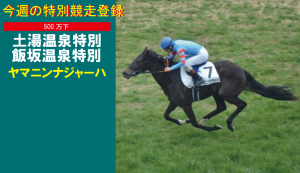 特別競走登録・ヤマニンナジャーハ