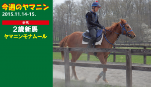 今週のヤマニン・ヤマニンモナムール