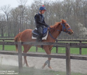 育成時代のヤマニンモナムール