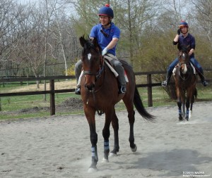 育成時代のワークショップ