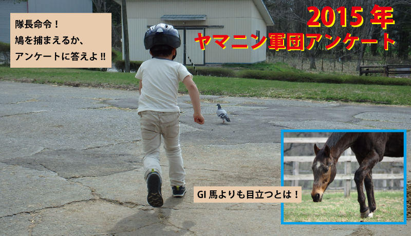 2015年ヤマニン軍団アンケート