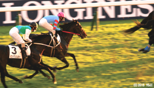 府中ゴール前・ヤマニンマンドール