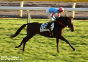 本馬場入場のヤマニンマンドール