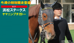 今週の特別競走登録・ヤマニンプチガトー