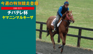 今週の特別競走登録・ヤマニンマルキーザ