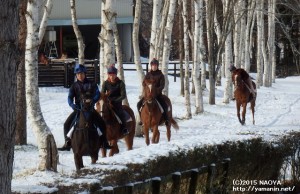 1歳馬たちの冬の始まり