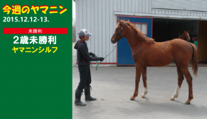 今週のヤマニン・ヤマニンシルフ