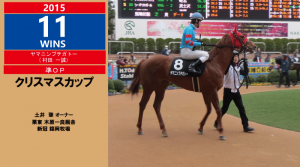 2015年11勝目・ヤマニンプチガトー