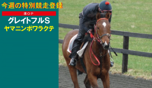特別競走登録・ヤマニンボワラクテ