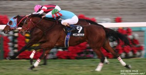 グレイトフルSのヤマニンボワラクテ