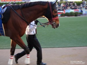 グレイトフルSのヤマニンボワラクテ