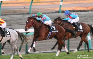 グレイトフルSのヤマニンボワラクテ