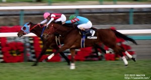 グレイトフルSのヤマニンボワラクテ