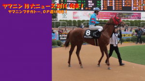 ヤマニン10大ニュース_2015
