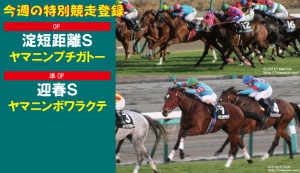 今週の特別競走登録・ヤマニンプチガトーとボワラクテ