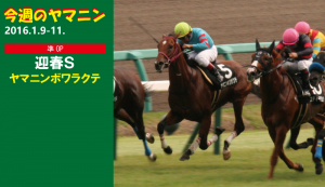 今週のヤマニン・ヤマニンボワラクテ