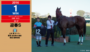 2016年度1勝目・ヤマニンボワラクテ