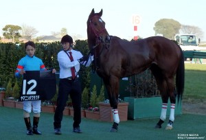 迎春S・表彰式のヤマニンボワラクテ