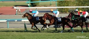 迎春S・1週目のヤマニンボワラクテ