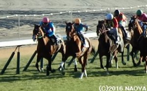 迎春S・直線入り口のヤマニンボワラクテ