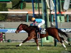 迎春S・決勝線を走り抜けるヤマニンボワラクテ