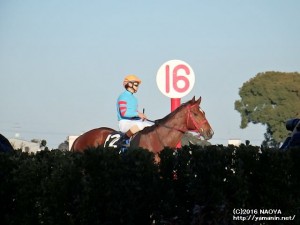 迎春S・戻ってくるヤマニンボワラクテ