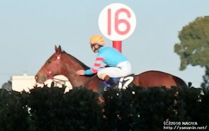 迎春S・褒める藤懸騎手とヤマニンボワラクテ