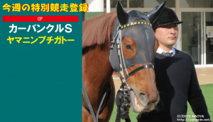 今週の特別競走登録・ヤマニンプチガトー