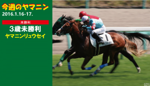 今週のヤマニン･ヤマニンリュウセイ