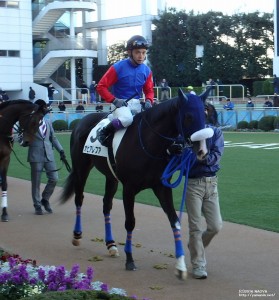 3歳未勝利・オヒアレフア