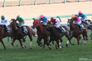 カーバンクルS・ヤマニンプチガトー