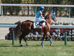 3歳未勝利・ヤマニンリュウセイ