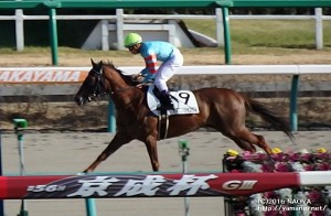 4歳上1000万下・ヤマニンシャンデル