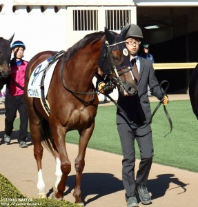 4歳上1000万下・ヤマニンシャンデル