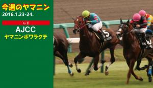 今週のヤマニン・AJCC・ヤマニンボワラクテ