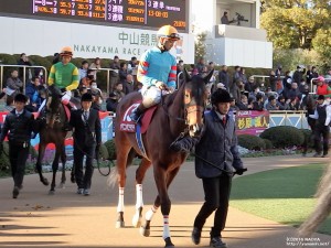 AJCC・パドックのヤマニンボワラクテ