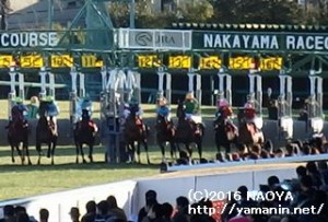 AJCC・スタートのヤマニンボワラクテ