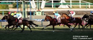 AJCC・1周目のヤマニンボワラクテ