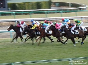 1周目のヤマニンモナムール