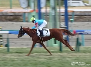 ゴールするヤマニンモナムール