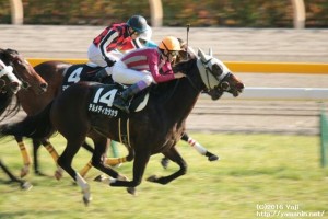 テレビ山梨杯・優勝テルメディカラカラ