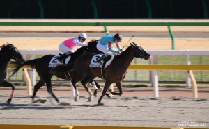 自己条件戦・ヤマニンシャンデル