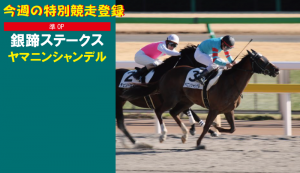 今週の特別競走登録・ヤマニンシャンデル